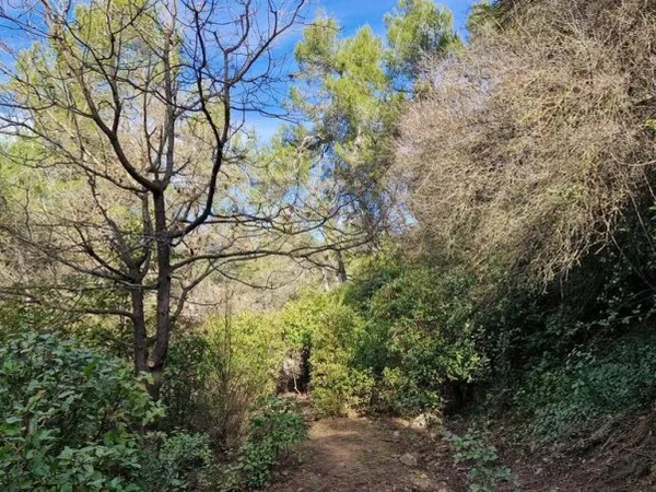 Terrain 3400 m²