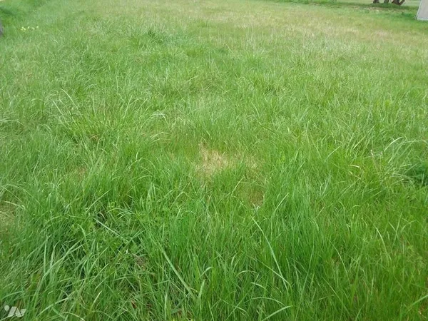 Terrain constructible 1945 m²