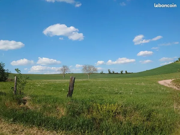 Terrain 1999 m² LANGY