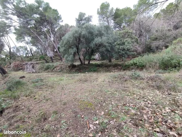 Très beau terrain non constructible d'un hectare vue mer avec ruine et droit d'eau d'un puits et d'u