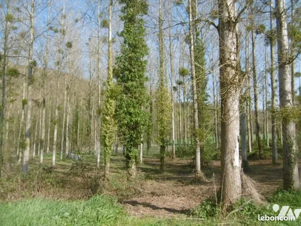 Terrain 3960 m² PONT FARCY
