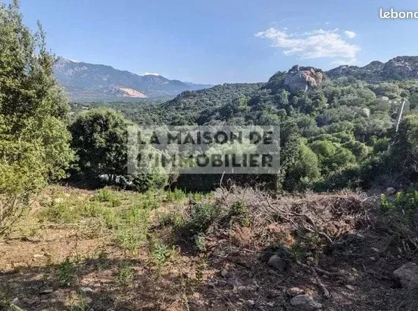 Terrain 8400 m² Figari