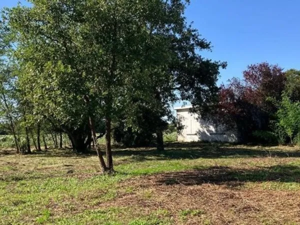 Terrain à bâtir Vente Peyssies  1010m² 115000€