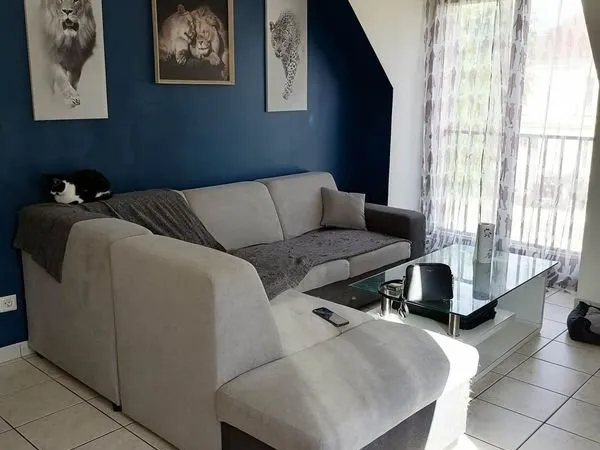 Appartement 2 pieces