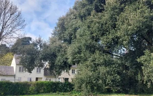 Maison 6 pièces 100 m²