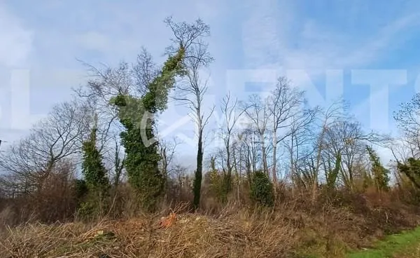 Terrain 1026 m²