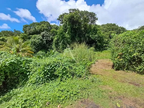 Terrain 2167 m²