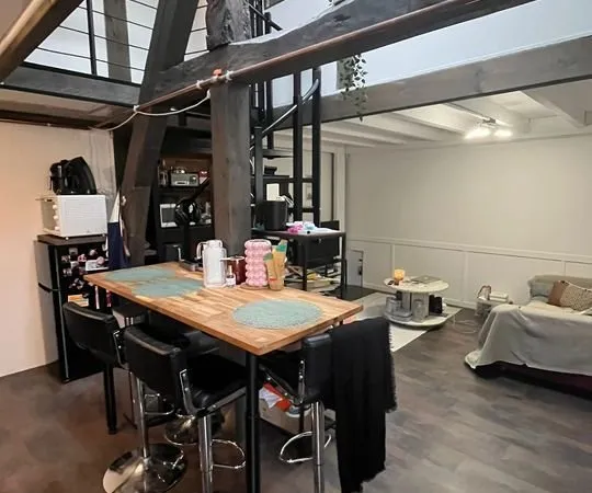 Duplex 1 pièce 43 m²