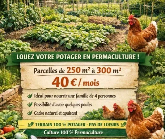Jardin potager