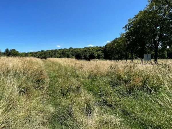 Terrain 994 m²