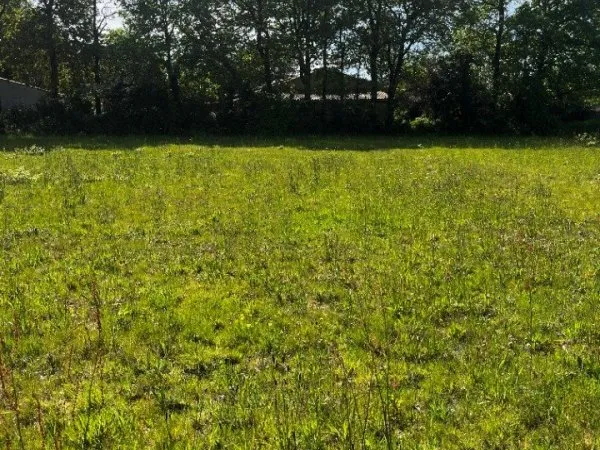 Terrain 393 m²