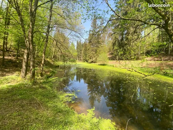 Etang au calme, en pleine nature, sur un terrain de 6110 m2
