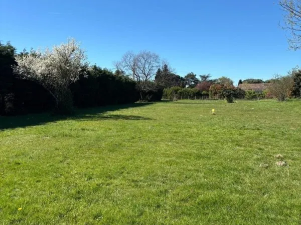 Terrain 977 m²