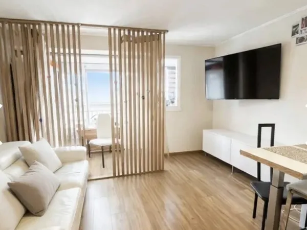 Appartement 1 pièce 30 m²