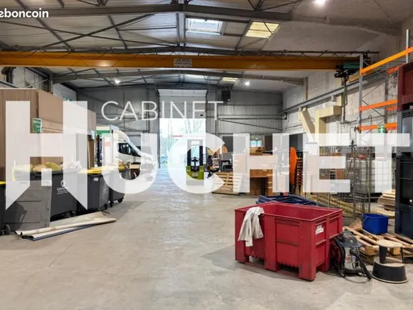 Local 1 431 m²