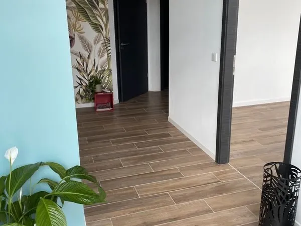 Location Local Professionnel
