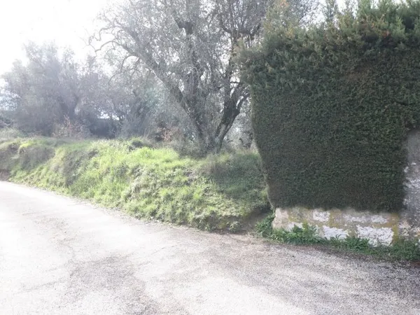 Terrain 1264 m²