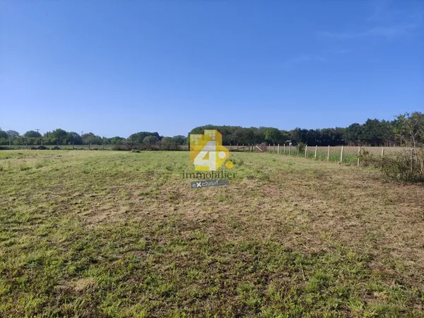 Terrain 1371 m²
