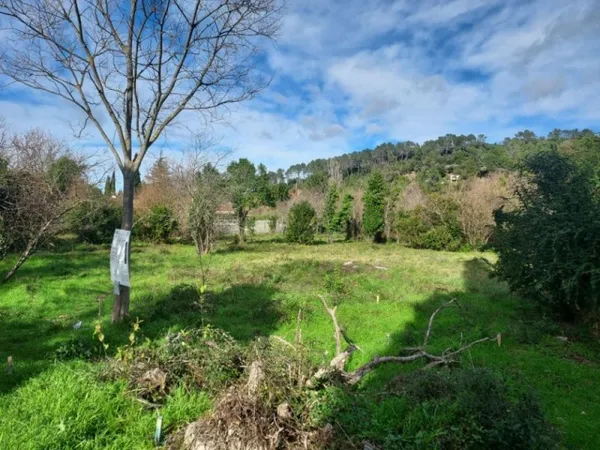 Terrain 503 m²