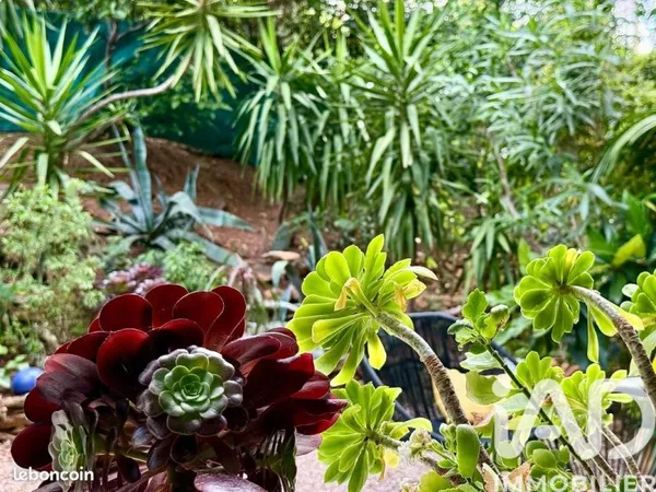 Appartement 4 pièces 84 m²