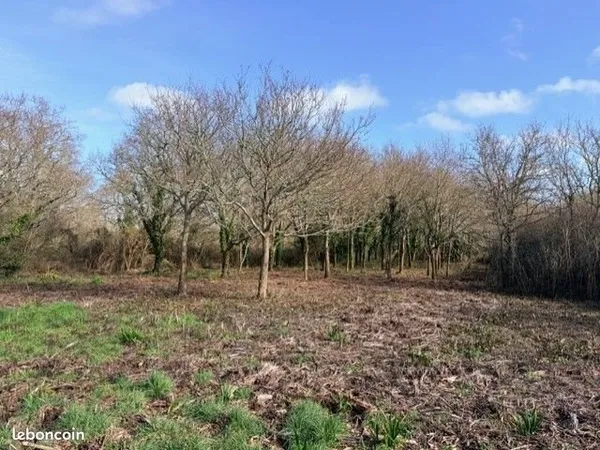 Terrain de 9020 m2