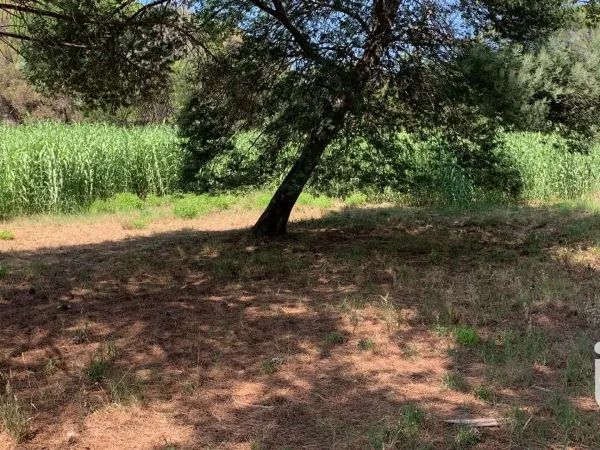 Terrain 2559 m²