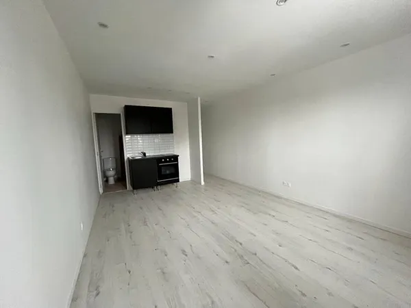 Appartement 1 pièce 25 m²