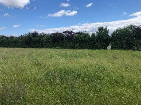 Terrain 700 m²
