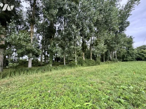 Terrain 600 m²