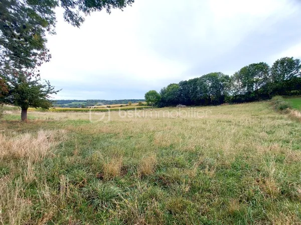 Terrain 5500 m²
