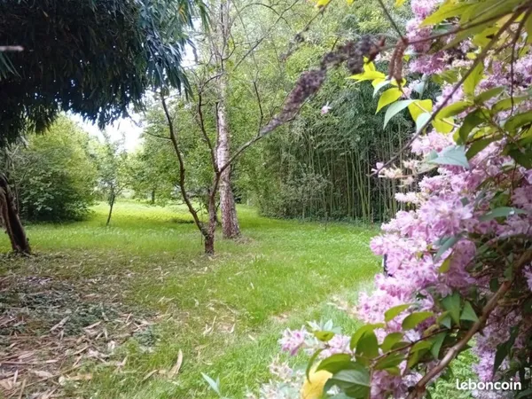 Terrain de loisirs