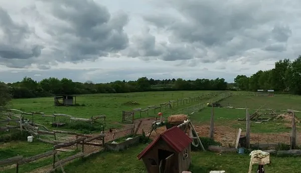 Maison avec hectares