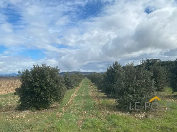 Rare !! Truffière de 5708 M²