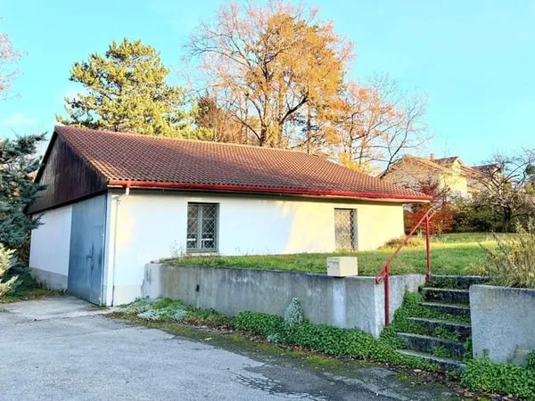 Local 1 pièce 110 m²
