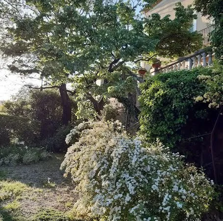 Maison 8 pièces 180 m²