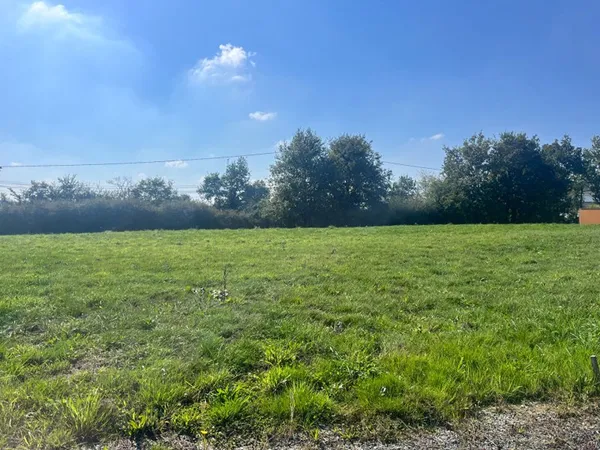 Terrain 479 m²