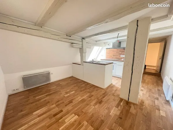Magnifique appartement F2 rénové - Hypercentre Strasbourg