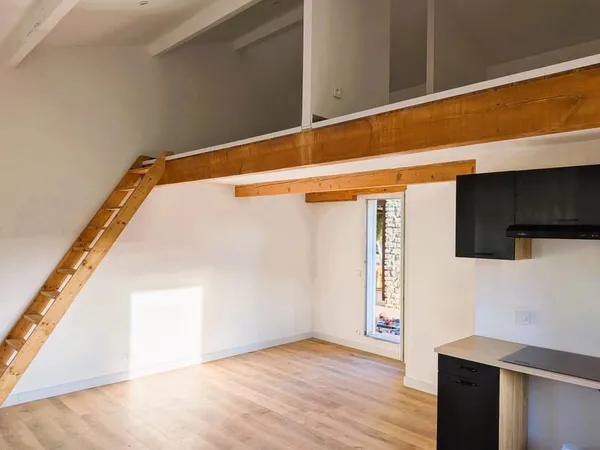 Appartement Type 1 de 29m2 avec mezzanine et grande terrass