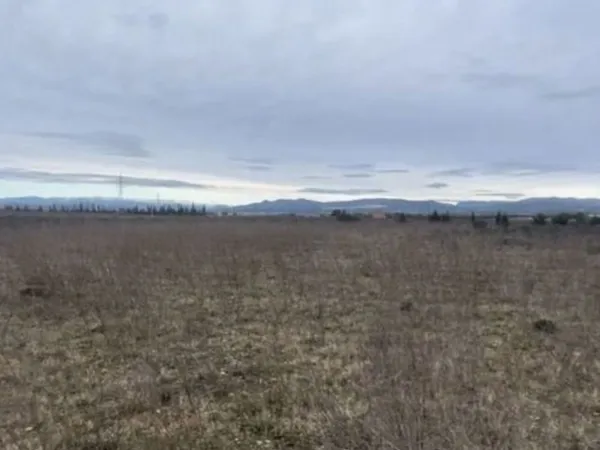Terrain agricole 1,45 ha €" Eau + irrigation €" Vue Canigou €" Salses