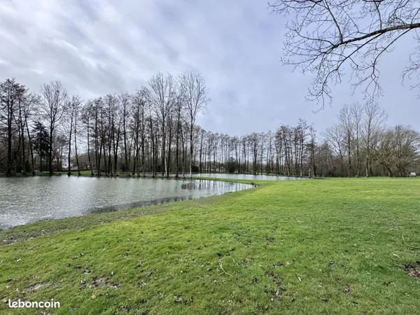 Terrain 13512 m² Nieul-le-Dolent