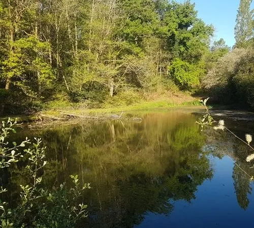 Plan d'eau Vente Écuras  20000m² 17000€