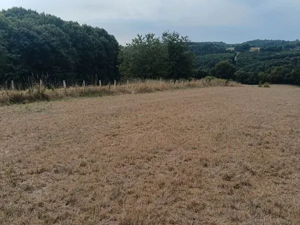 Terrain 4901 m² GLANGES