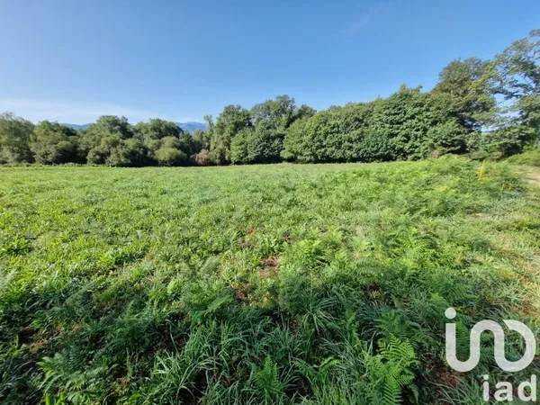 Terrain 12539 m²