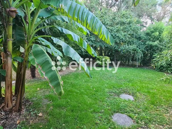 Maison 3 pièces 70 m²