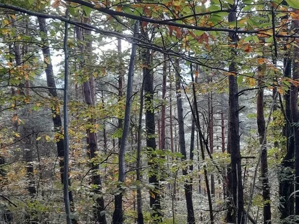 Terrain bossé