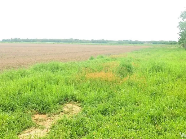 Terrain 1800 m²