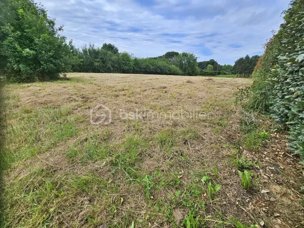 Terrain 984 m²