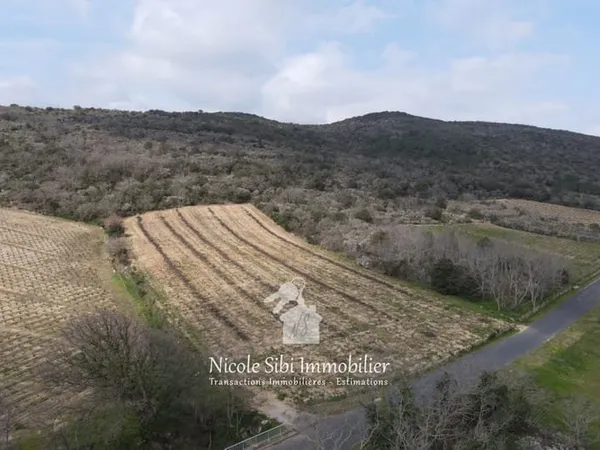 Vente terrain agricole