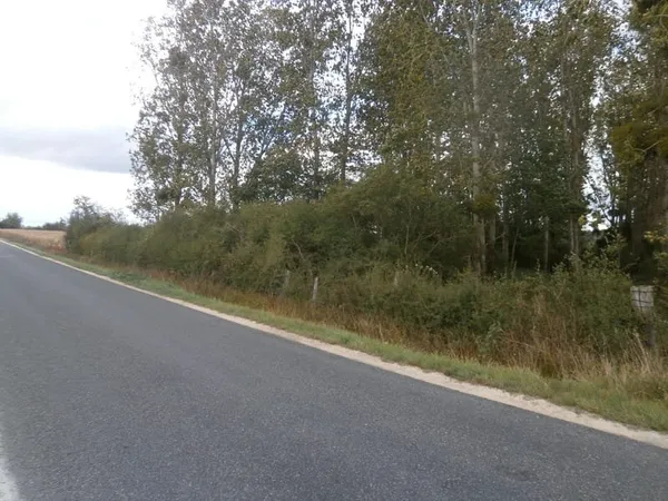 TERRAIN DE LOISIRS 2370 M2 EN PARTIE BOISEE DE PEUPLIERS NEG