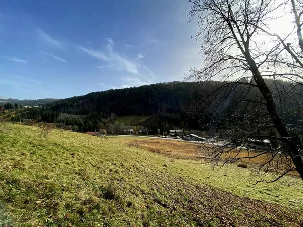 Terrain constructible